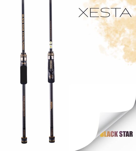 XESTA BLACKSTAR EXTRA TUNED S84MH-T KAMIŞ 2.55M 1.5-18G 2P