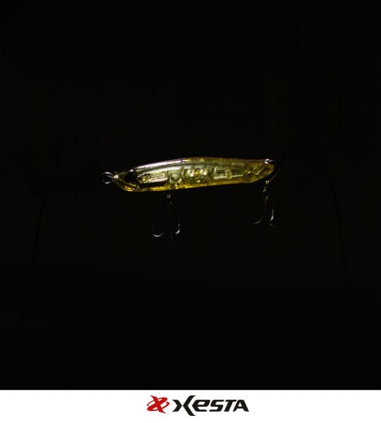 XESTA APPETITE SAHTE 60S AASL