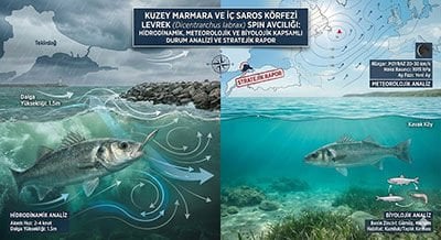 Kuzey Marmara ve İç Saros Körfezi Levrek (Dicentrarchus labrax) Spin Avcılığı