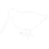 KARA AVI