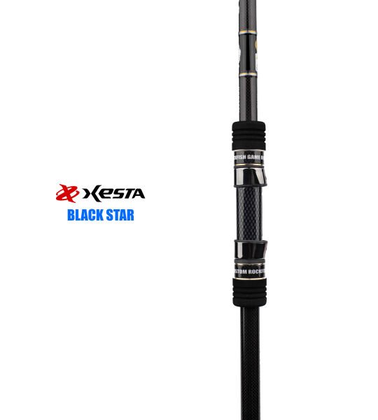 XESTA BLACKSTAR HARD S90HX KAMIŞ 2.74M 10-50G