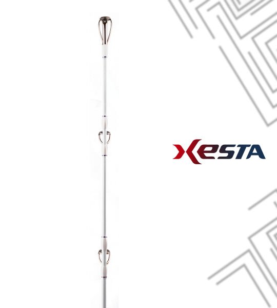 XESTA SLOW EMOTION FOR POWER PITCH JERK B55-PPJ 1.65M 180-600G