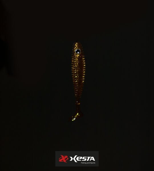 XESTA SHAD STAR SİLİKON 3.5'' 9.5CM KGD 6P