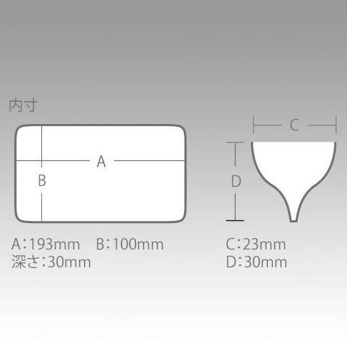 Meiho Reversible 100 Maket Balık Kutusu