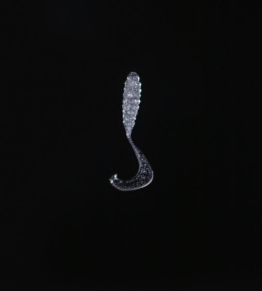 SPIINX CRAZY TAIL KUYRUK 7.5CM 10P CLEAR SILVER