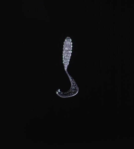 SPIINX CRAZY TAIL KUYRUK 7.5CM 10P CLEAR SILVER