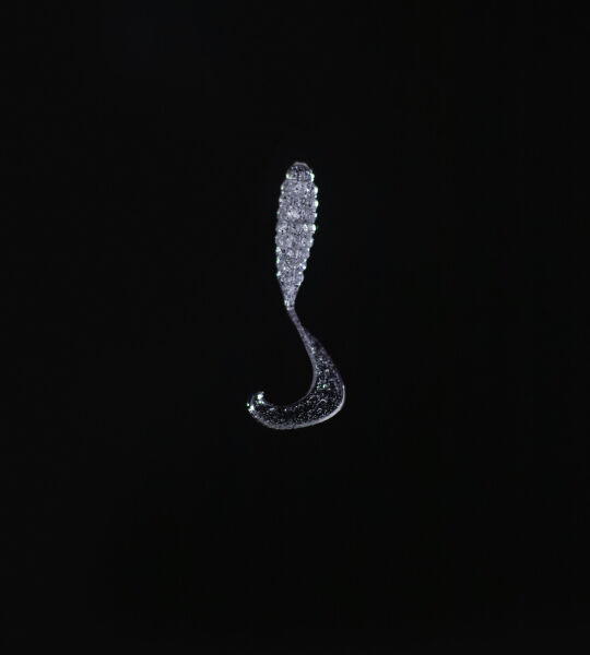 SPIINX CRAZY TAIL KUYRUK 7.5CM 10P CLEAR SILVER