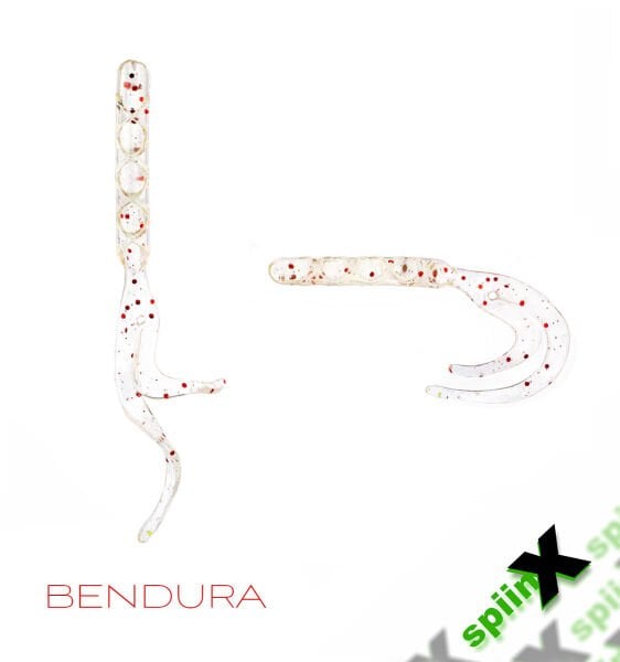 SPIINX BENDURA 9,5CM 5P CLEAR SECRET GLOW
