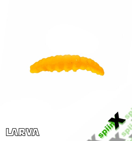 SPIINX LARVA 35MM 14P PEYNİR MUSTARD 44