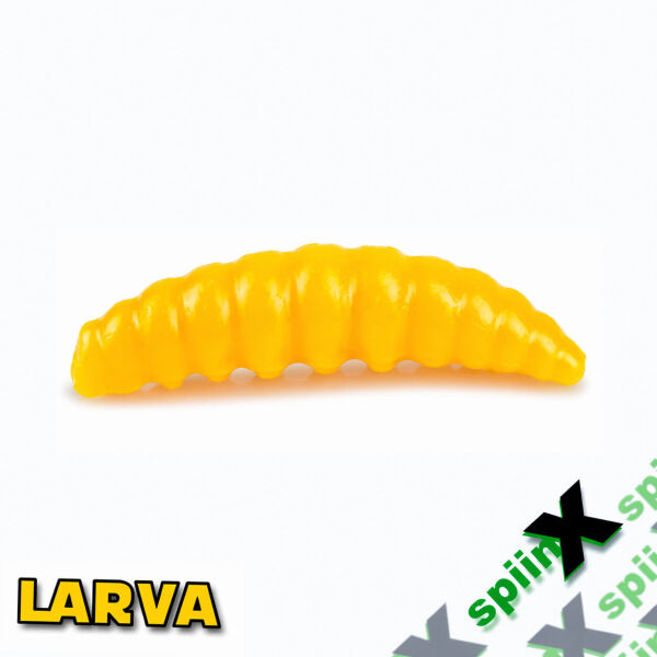 SPIINX LARVA 35MM 14P PEYNİR MUSTARD 44