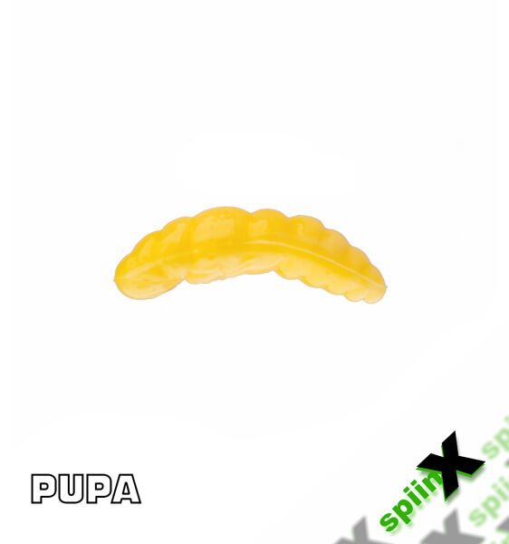 SPIINX PUPA 35MM 12P PEYNİR CHEESE 05