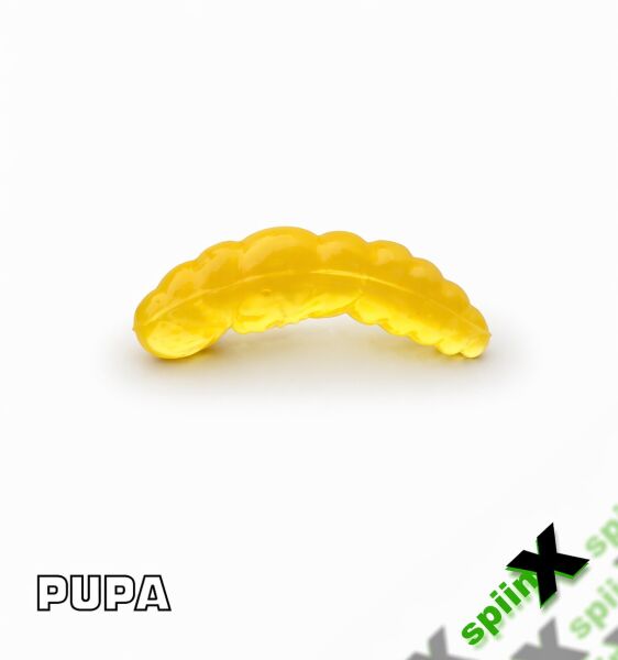 SPIINX PUPA 35MM 12P PEYNİR CHEESE 05