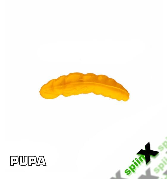 SPIINX PUPA 35MM 12P PEYNİR MUSTARD 44