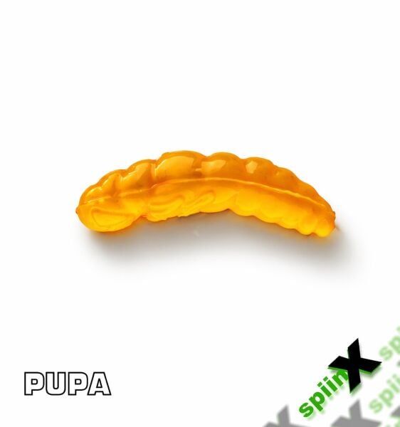 SPIINX PUPA 35MM 12P PEYNİR MUSTARD 44