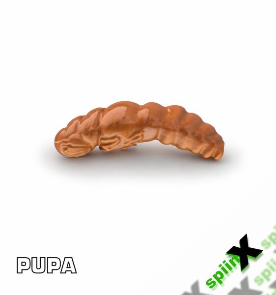 SPIINX PUPA 35MM 12P PEYNİR COFFEE 24