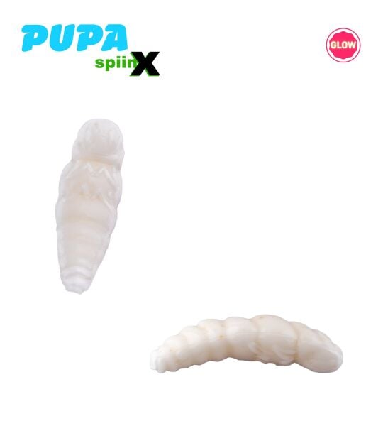 SPIINX PUPA 35MM 12P PEYNİR ALL GLOW 61