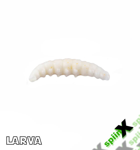 SPIINX LARVA 35MM 14P PEYNİR ALL GLOW 61