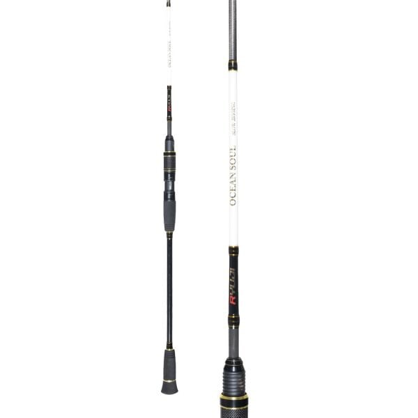 RYUJI OCEAN SOUL FUJI 1.80M 80-300GR 2P SLOW JIG KAMIŞ