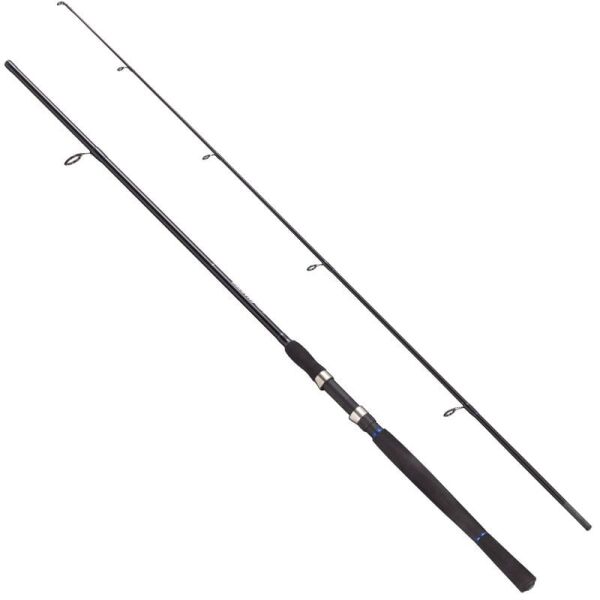 Fladen Charter Spin Kamış 2p 240 (20-40G)