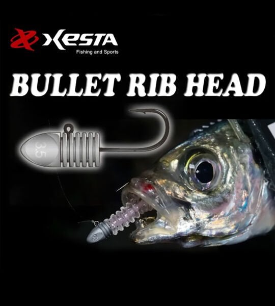 XESTA BULLET RIBHEAD JIG HEAD #8 4P 0.6G