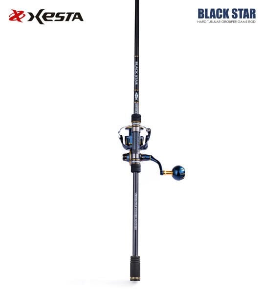 XESTA BLACKSTAR HARD S84MHX KAMIŞ 2.54M 7-35G