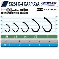 OWNER 53264 C-4 CARP AYA