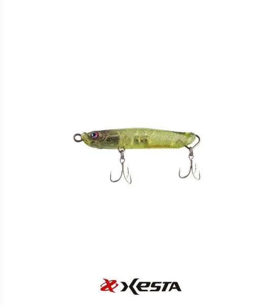 XESTA APPETITE SAHTE 60S CHSL