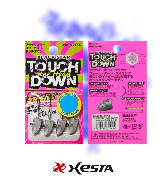 XESTA STAR HEAD TOUCH DOWN JIGHEAD #2/0 4P 5.0G
