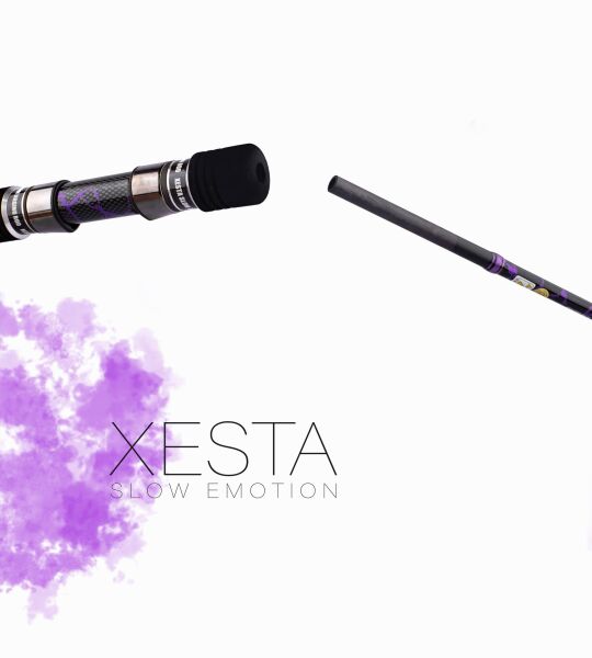 XESTA SLOW EMOTION SPIN SLOW JERK S653 1.95M 150-300G 2P