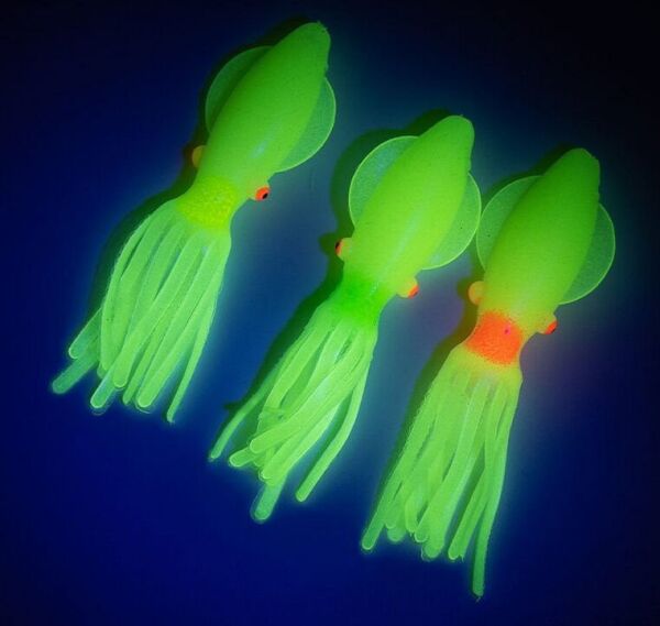 Solid squid 7cm 6pack Turuncu