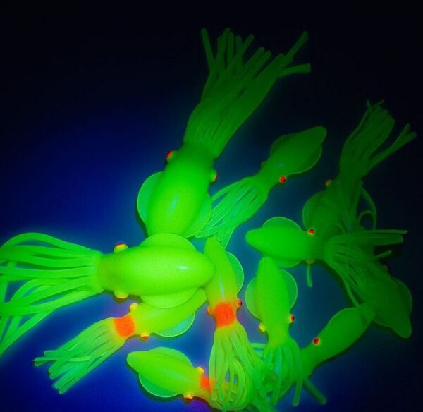 Solid squid 7cm 6pack Turuncu