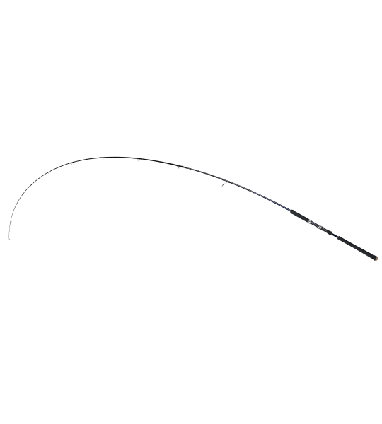 Fujin Madcast 290cm 20-80gr Shore Jig Kamışı