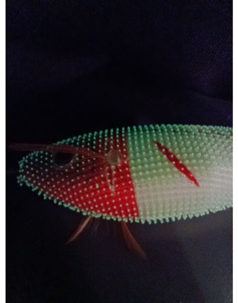 Captain 3028 Kalamar Zokası 8cm Toto Zogga Glow Deri Kaplama