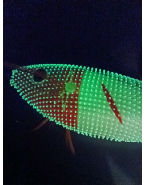 Captain 3028 Kalamar Zokası 8cm Toto Zogga Glow Deri Kaplama