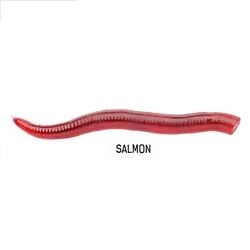 Vorteks Feeder Blood Worm Salmon Silikon Kurt