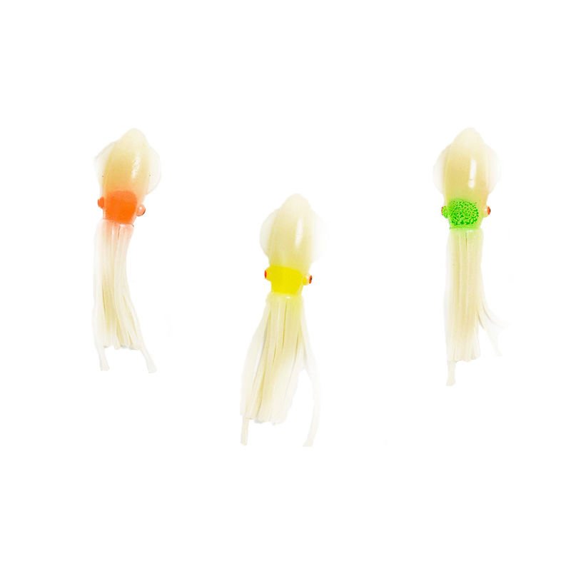 Solid squid 7cm 6pack