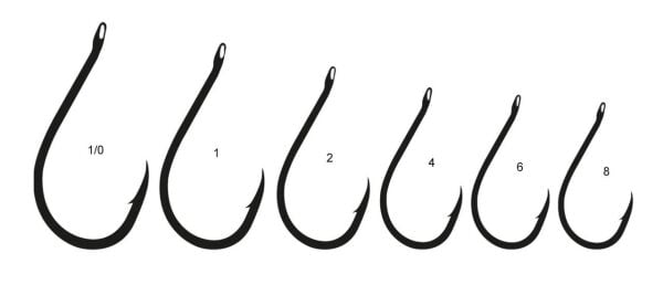 Lineaeffe Kaptura K10026-Chinu İğne