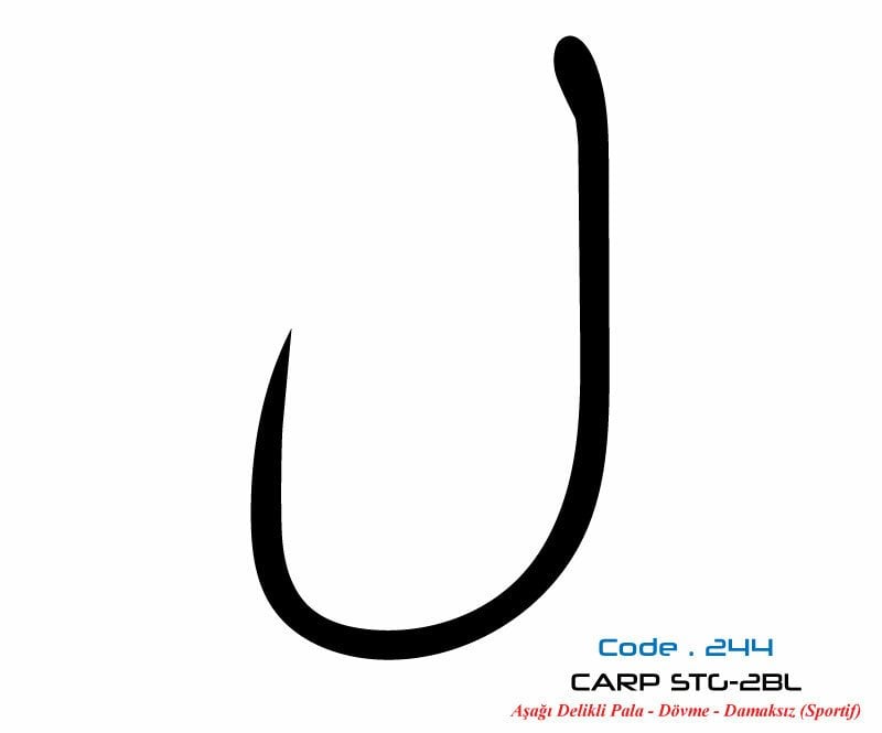 2447 CARP STG-2 DAMAKSIZ  #6 TEFLON 8P