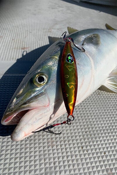 XESTA SLOW EMOTION FLAP QR 180G SKSL