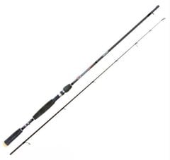 Nomura Hıro 259cm 5-28g