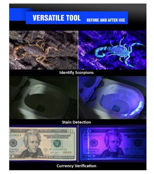 Otirilio 51 LED UV Balıkçı Feneri ve Lazer Pointer (Mor Işık)