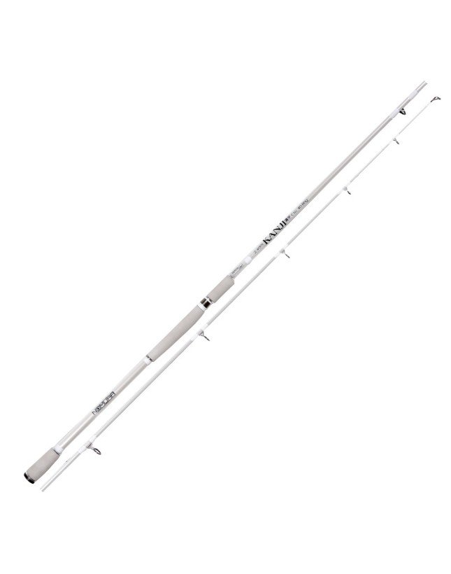 Nomura NM21209030 Kanji 300cm Shore Jig Kamış 40-80gr Atar